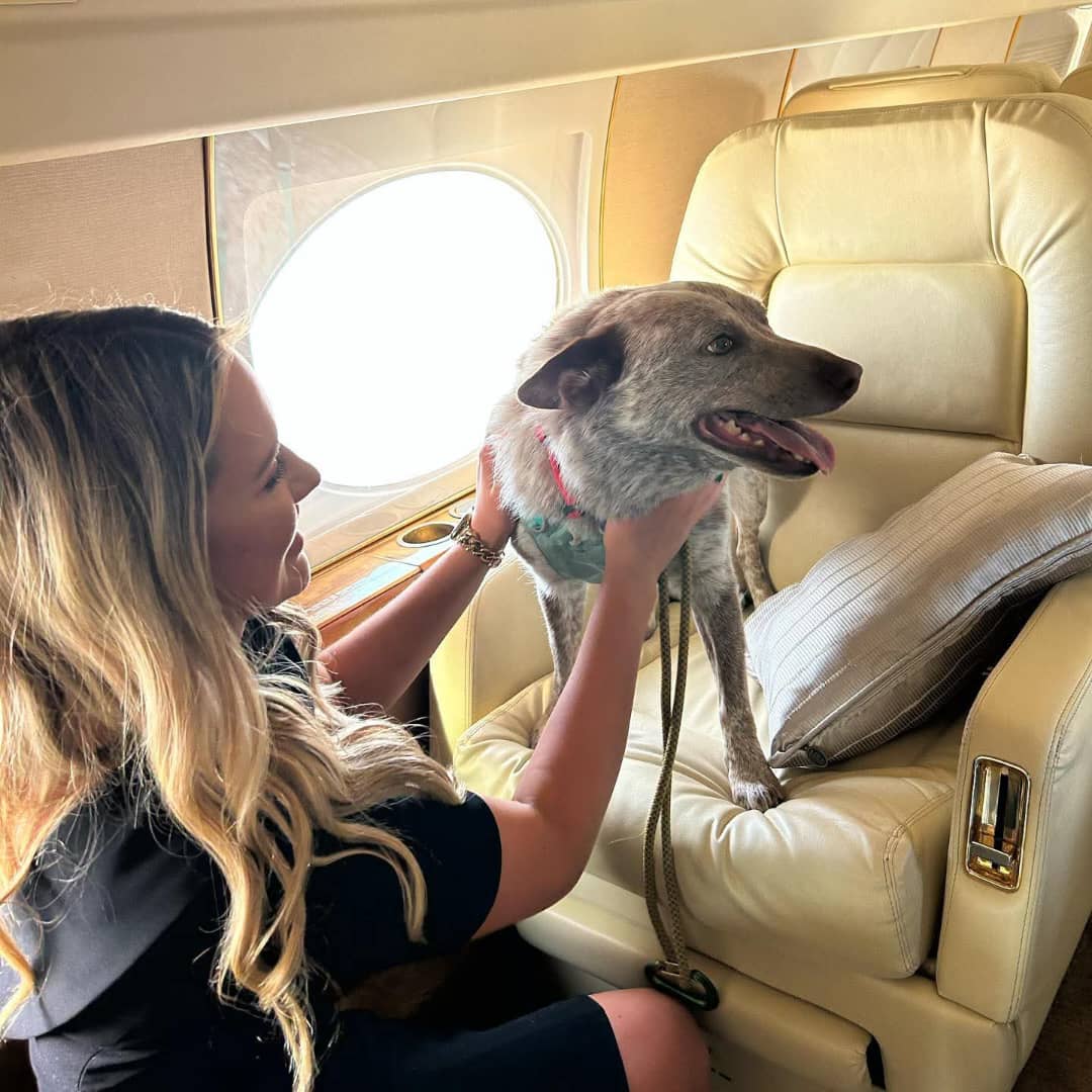 zootrek team member with a horse